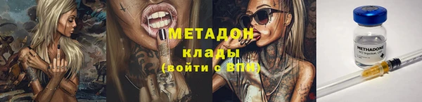 сатива Михайловка