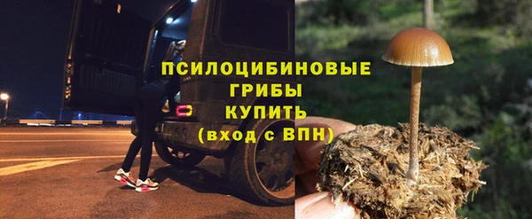 хмурый Михайлов