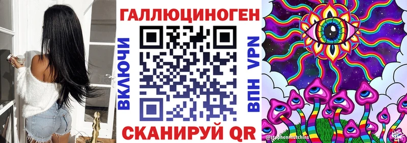 Купить  Кизилюрт  Галлюциногенные грибы Psilocybe 